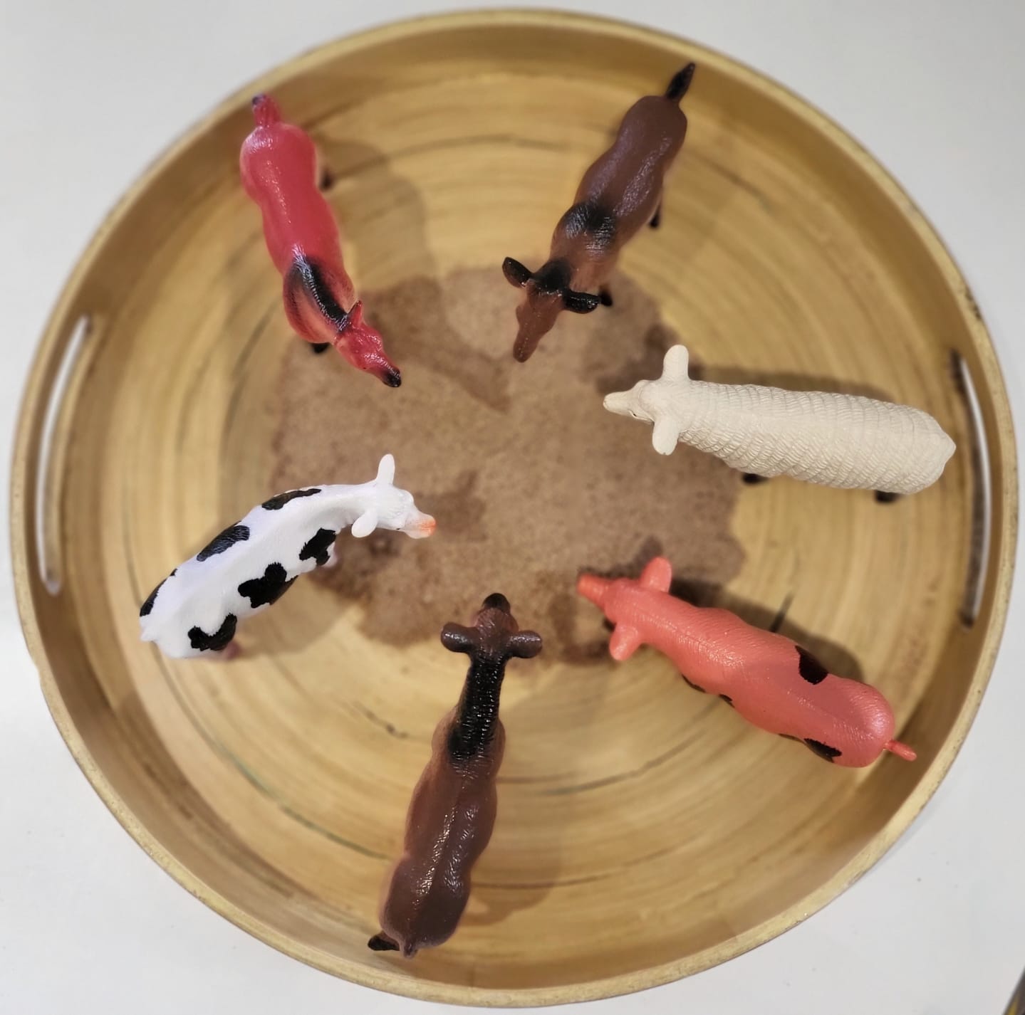 Farm Party Favour - Ax & Nush