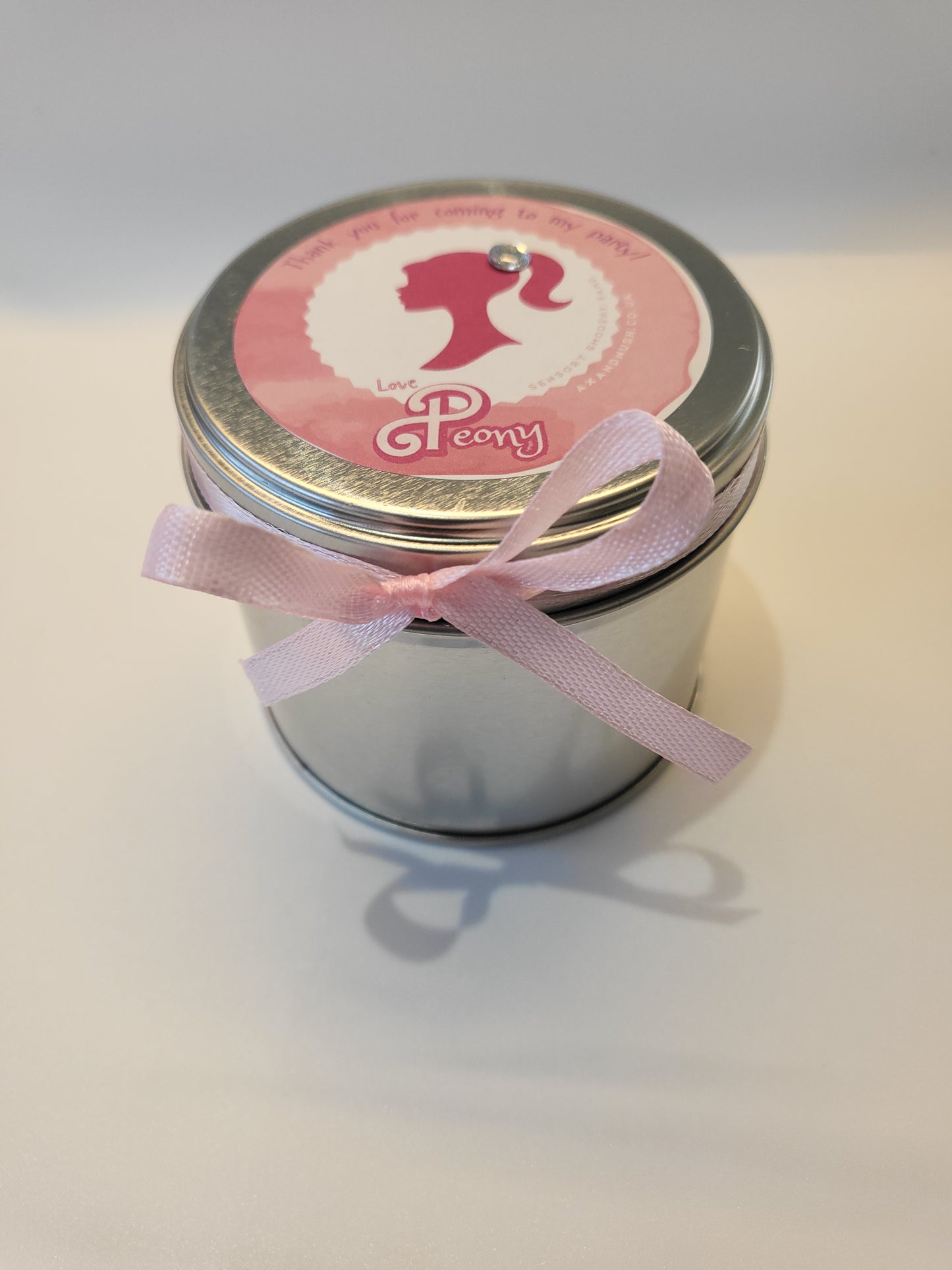 Barbie Sensory Tin