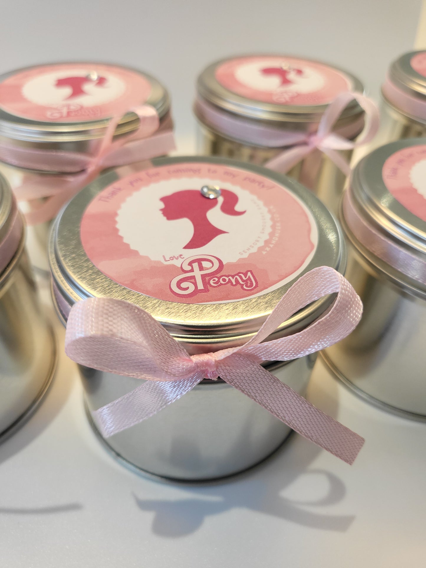 Barbie Sensory Tin