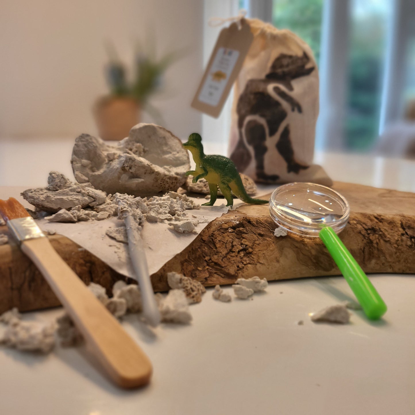 Personalised Dinosaur Hunt Party Favour / Excavation Kit